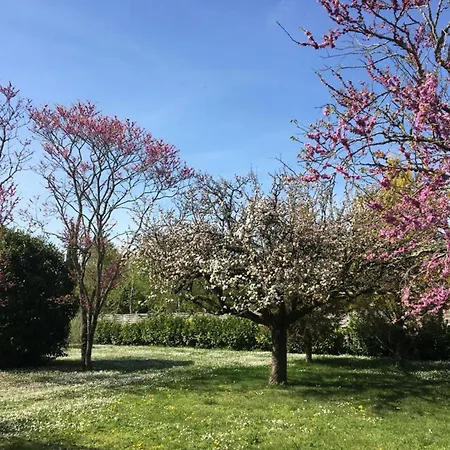 House For 13 People Heated Pool Bocce Court Haimps