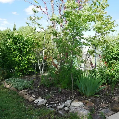 Maison 15p Piscine Chauffe Terrain De Petanque