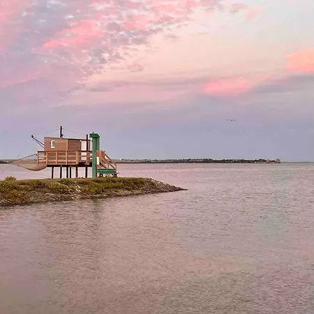 Maison 13p Piscine Chauffee Terrain De Petanque * Haimps