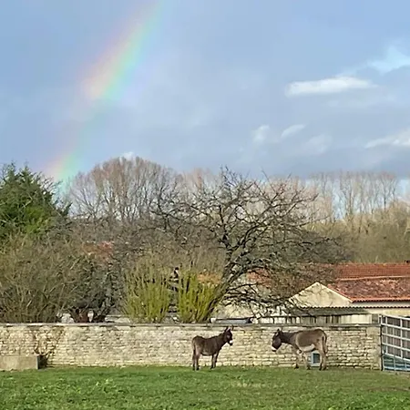 Maison 13p Piscine Chauffee Terrain De Petanque Haimps