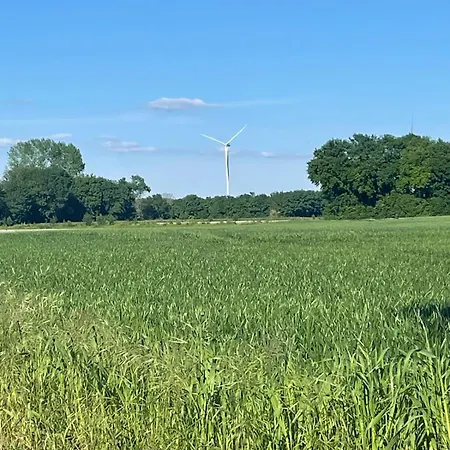 Villa Maison 15p Piscine Chauffe Terrain De Petanque *