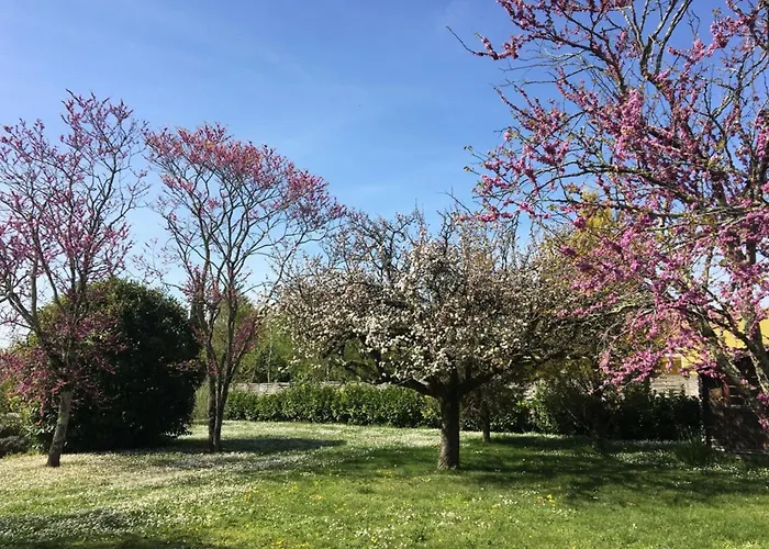 Maison 15p Piscine Chauffe Terrain De Petanque Haimps