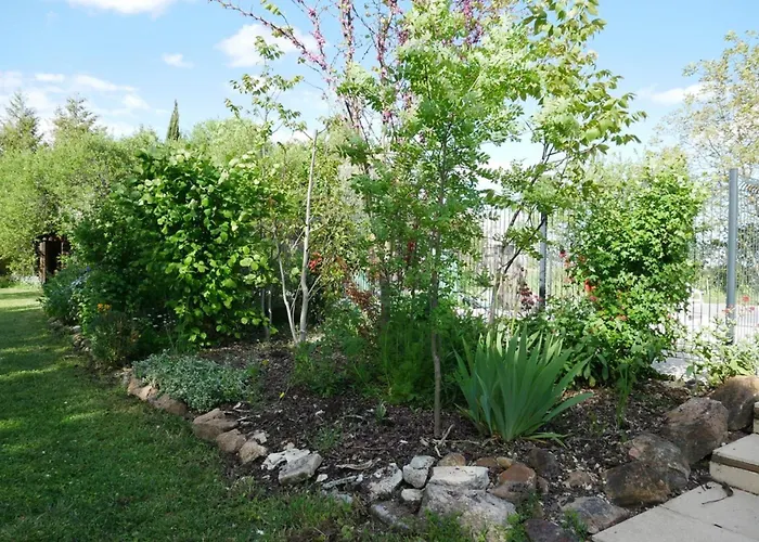 Maison 15p Piscine Chauffe Terrain De Petanque