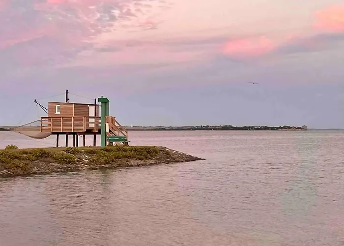 Maison 15p Piscine Chauffe Terrain De Petanque * Haimps