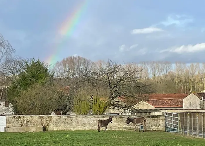 Maison 15p Piscine Chauffe Terrain De Petanque Haimps